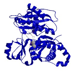 Image of CATH 3g6x