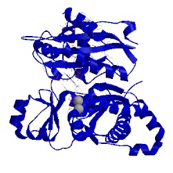Image of CATH 3g6y