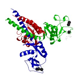 Image of CATH 3g84