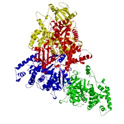 Image of CATH 3g93