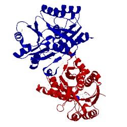 Image of CATH 3gbv