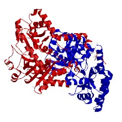 Image of CATH 3gbx