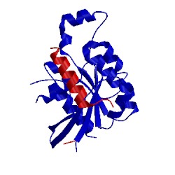 Image of CATH 3gcg