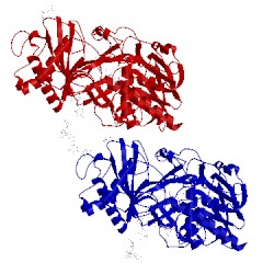 Image of CATH 3gdp