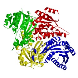 Image of CATH 3gem