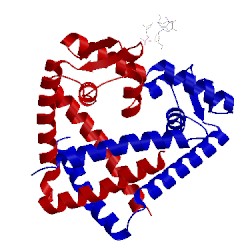 Image of CATH 3gfi