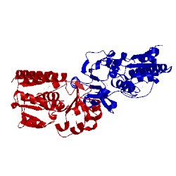 Image of CATH 3gfv