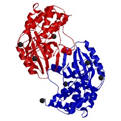 Image of CATH 3ggf