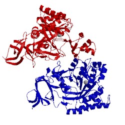 Image of CATH 3gip
