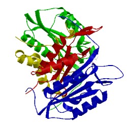 Image of CATH 3gjr