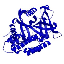 Image of CATH 3gjw