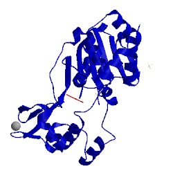 Image of CATH 3glu
