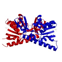 Image of CATH 3gmt