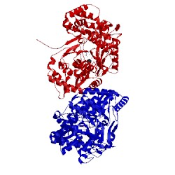 Image of CATH 3gnw