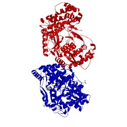 Image of CATH 3gol