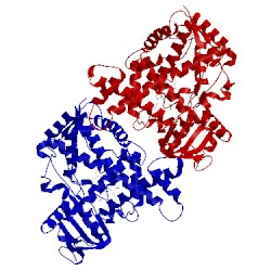 Image of CATH 3gph