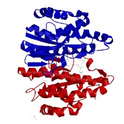 Image of CATH 3gst