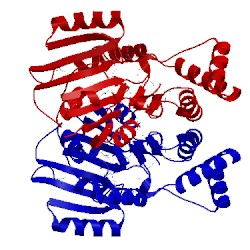 Image of CATH 3gu3
