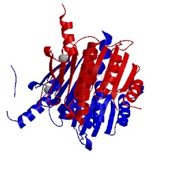 Image of CATH 3guc