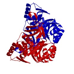 Image of CATH 3gye