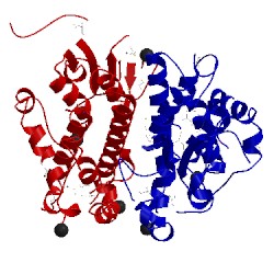 Image of CATH 3h1n