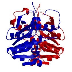 Image of CATH 3h2s