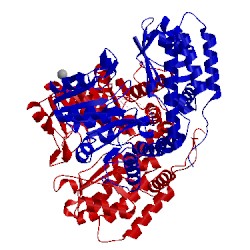 Image of CATH 3h7f