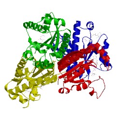 Image of CATH 3h86
