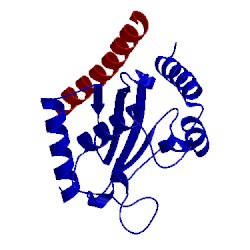 Image of CATH 3h8k