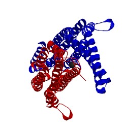Image of CATH 3hah