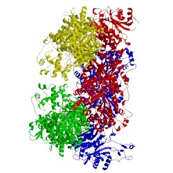 Image of CATH 3hb9