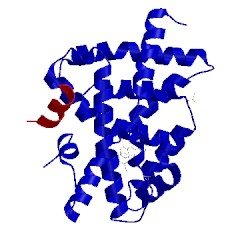 Image of CATH 3hc5