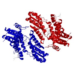 Image of CATH 3hcp