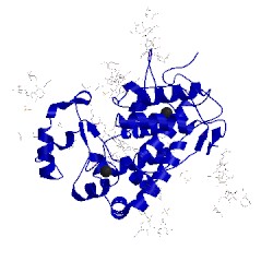 Image of CATH 3hdl