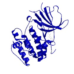 Image of CATH 3hdn