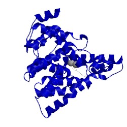 Image of CATH 3hdz