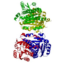 Image of CATH 3hfg