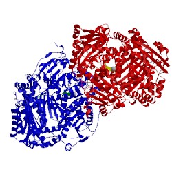 Image of CATH 3hgz