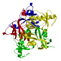 Image of CATH 3hh2