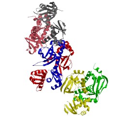 Image of CATH 3hif