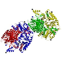 Image of CATH 3hjb