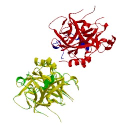 Image of CATH 3hkj