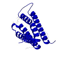 Image of CATH 3hkk