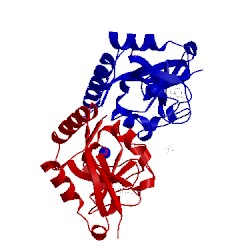 Image of CATH 3hkv