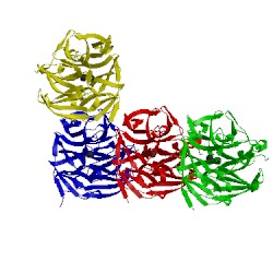 Image of CATH 3hli