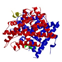 Image of CATH 3hlv