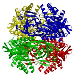 Image of CATH 3hn3