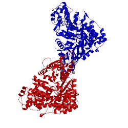 Image of CATH 3hnf