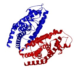 Image of CATH 3ho0
