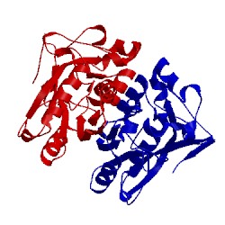 Image of CATH 3ho7
